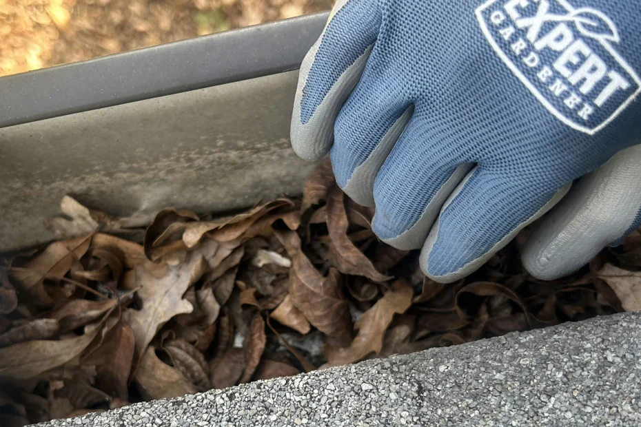 Gutter Cleaning Baker